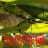 69.bmp