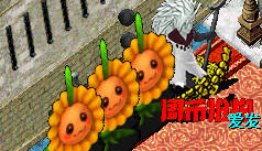 Snipaste_2026-09-24_18-48-50.jpg